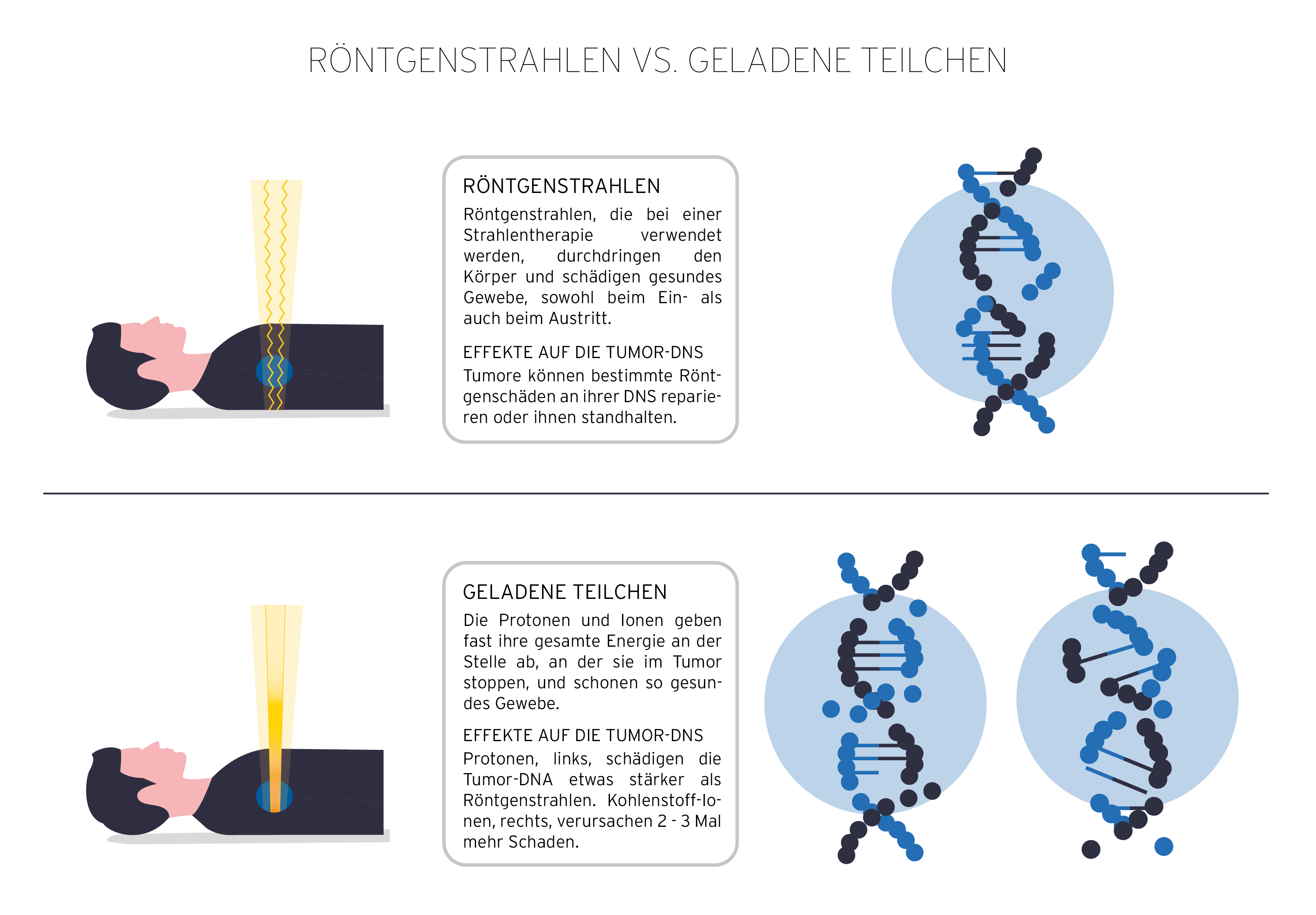Abb. 1: Photonen versus Protonen: Wirkung auf die DNS.