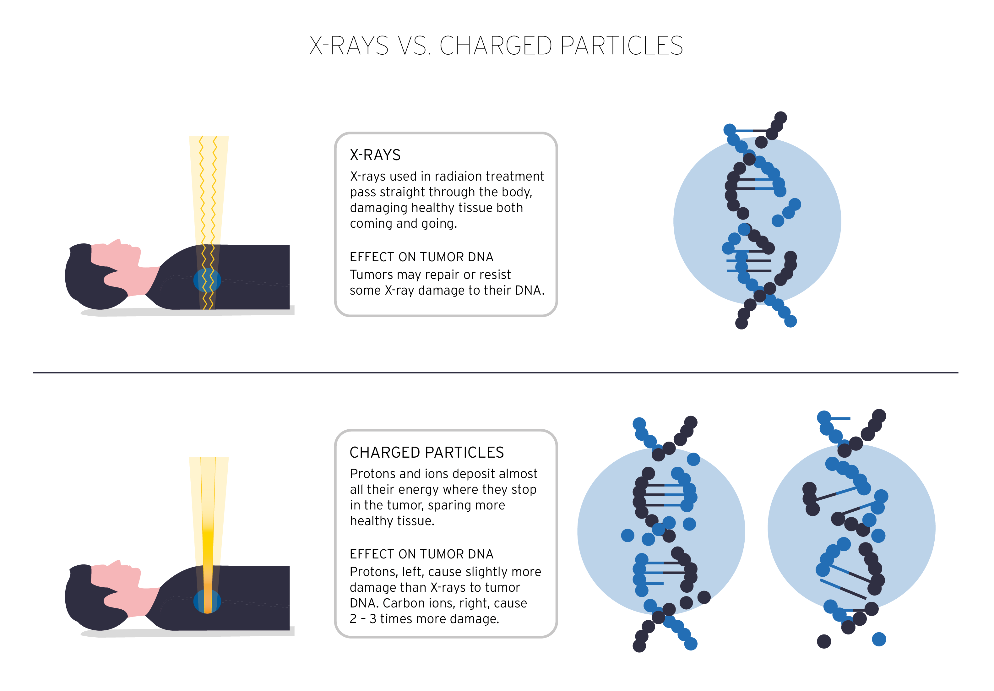 Abb. 1: Photonen versus Protonen: Wirkung auf die DNA.